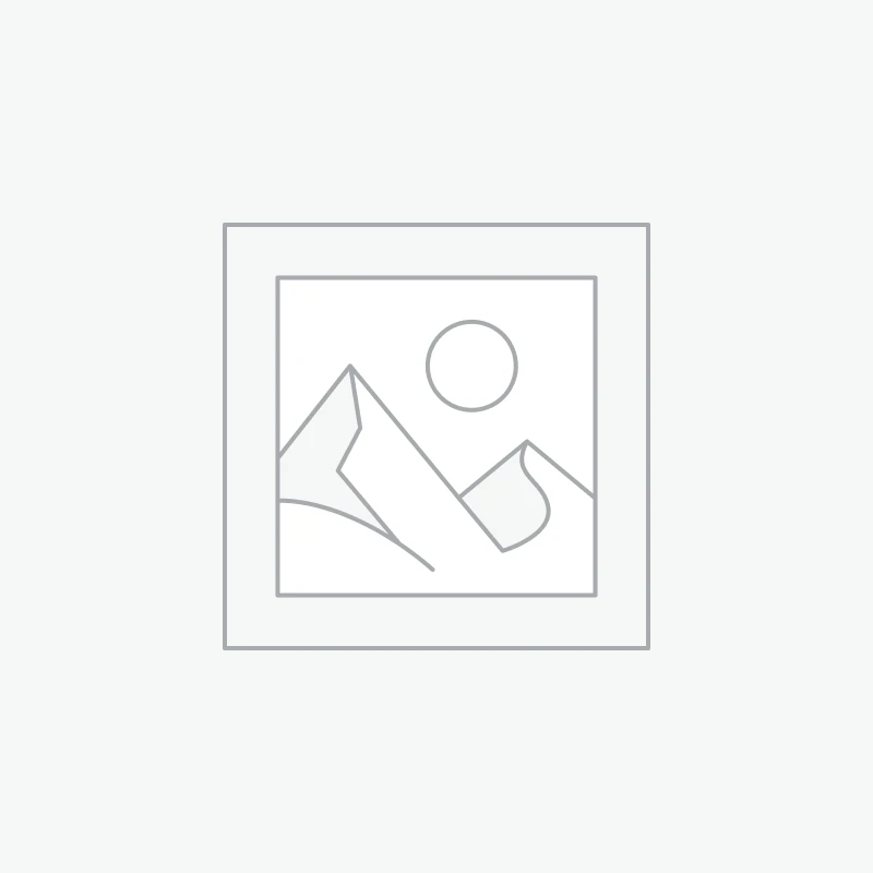 Classic T-Shirt Basic